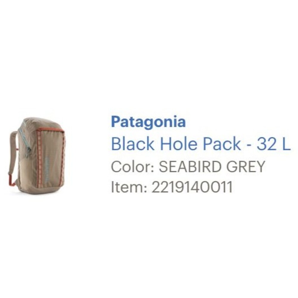 PATAGONIA Black Hole 32L BACKPACK Seabird Grey Perfect ~ Used Once
